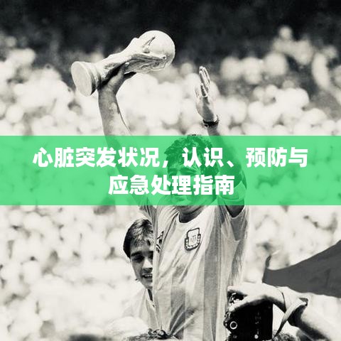心臟突發(fā)狀況，認識、預(yù)防與應(yīng)急處理指南