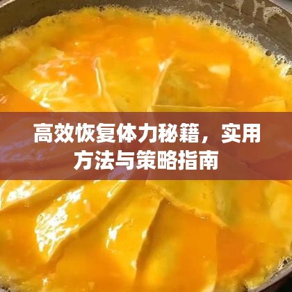 高效恢復(fù)體力秘籍，實(shí)用方法與策略指南
