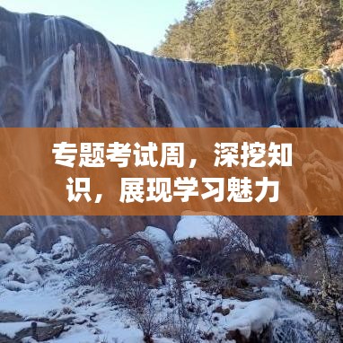 專題考試周，深挖知識(shí)，展現(xiàn)學(xué)習(xí)魅力