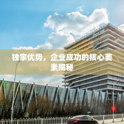 獨家優(yōu)勢，企業(yè)成功的核心要素揭秘