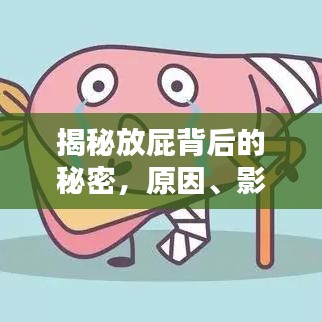 揭秘放屁背后的秘密，原因、影響與應對方法