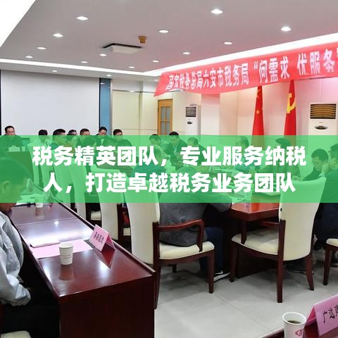 稅務(wù)精英團(tuán)隊(duì)，專業(yè)服務(wù)納稅人，打造卓越稅務(wù)業(yè)務(wù)團(tuán)隊(duì)
