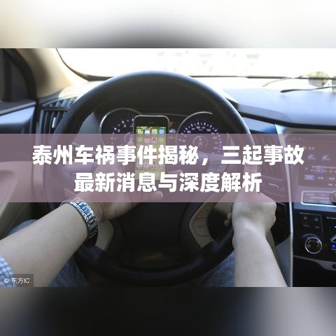 泰州車(chē)禍?zhǔn)录颐兀鹗鹿首钚孪⑴c深度解析