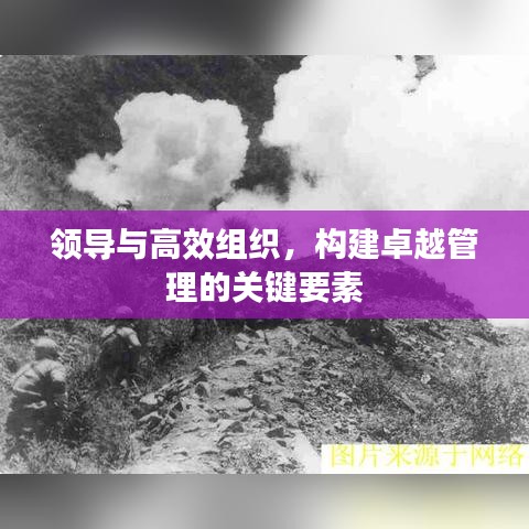 領(lǐng)導(dǎo)與高效組織，構(gòu)建卓越管理的關(guān)鍵要素