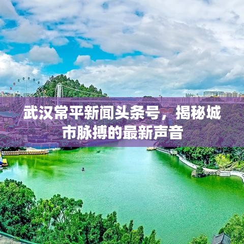 武漢常平新聞頭條號，揭秘城市脈搏的最新聲音