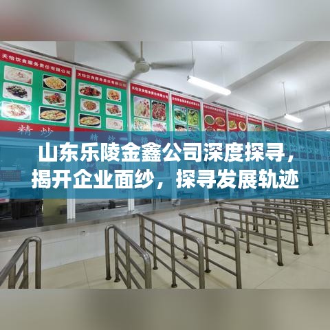 山東樂陵金鑫公司深度探尋，揭開企業(yè)面紗，探尋發(fā)展軌跡