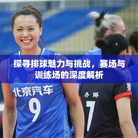 探尋排球魅力與挑戰(zhàn)，賽場與訓練場的深度解析