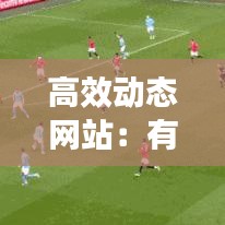 高效動態(tài)網站：有什么動態(tài)網站 