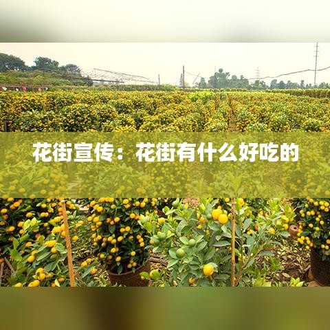 成功案例 第113頁