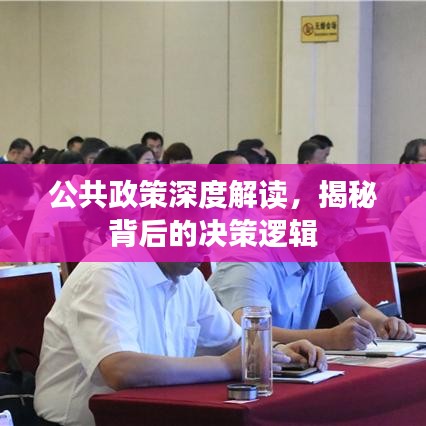 公共政策深度解讀，揭秘背后的決策邏輯
