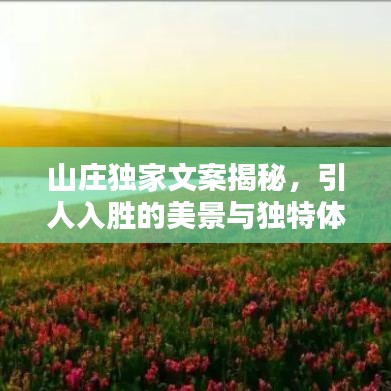 山莊獨家文案揭秘，引人入勝的美景與獨特體驗