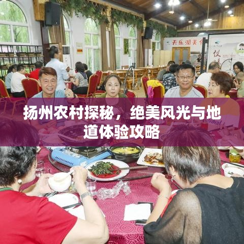 揚州農(nóng)村探秘，絕美風(fēng)光與地道體驗攻略
