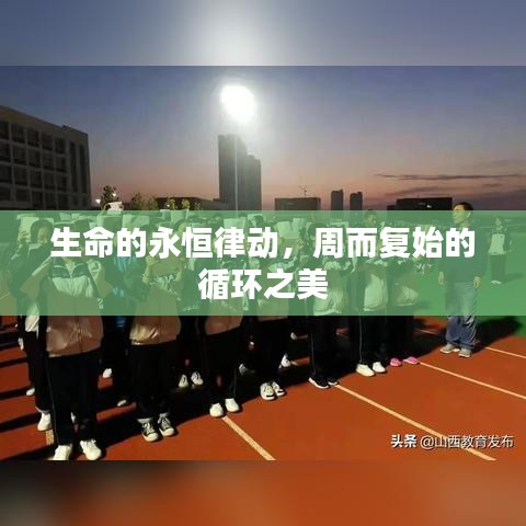 生命的永恒律動(dòng)，周而復(fù)始的循環(huán)之美