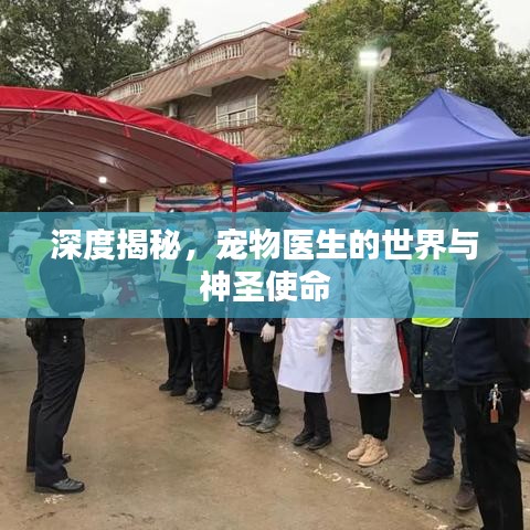 深度揭秘，寵物醫(yī)生的世界與神圣使命