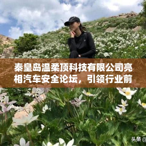秦皇島溫柔頂科技亮相汽車安全論壇，引領(lǐng)前沿技術(shù)探討風(fēng)潮