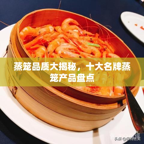 蒸籠品質(zhì)大揭秘，十大名牌蒸籠產(chǎn)品盤點