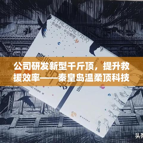 秦皇島溫柔頂科技 第4頁(yè)