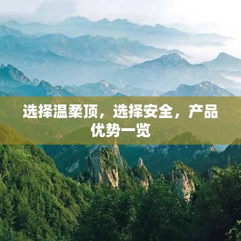 溫柔頂科技，安全之選，產(chǎn)品優(yōu)勢詳解