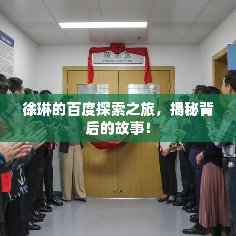 徐琳的百度探索之旅，揭秘背后的故事！