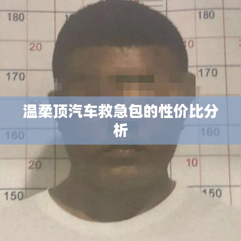 溫柔頂 第2頁