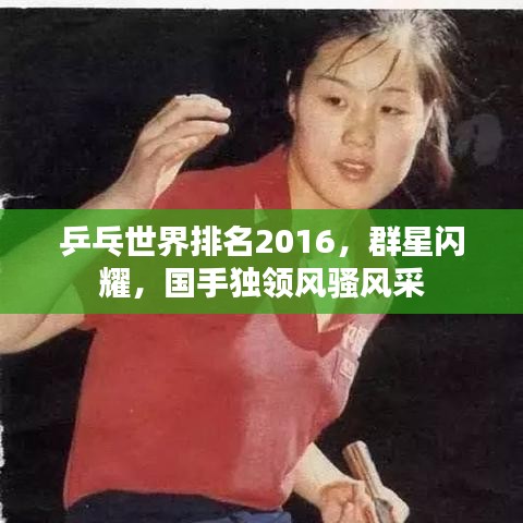 乒乓世界排名2016，群星閃耀，國手獨領風騷風采
