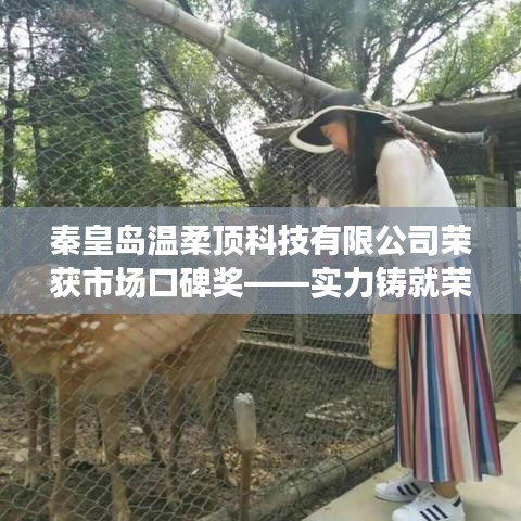 秦皇島溫柔頂科技榮獲市場口碑獎，實力創(chuàng)新，引領未來