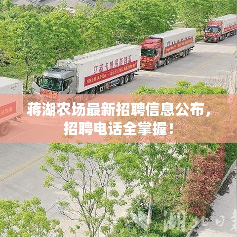蔣湖農(nóng)場最新招聘信息公布，招聘電話全掌握！
