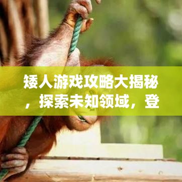 矮人游戲攻略大揭秘，探索未知領(lǐng)域，登頂頂尖玩家之路！