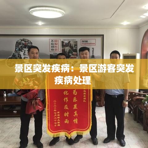 景區(qū)突發(fā)疾?。壕皡^(qū)游客突發(fā)疾病處理 