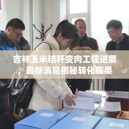 吉林玉米秸稈變?nèi)夤こ踢M展，最新消息揭秘轉(zhuǎn)化成果