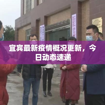 宜賓最新疫情概況更新，今日動(dòng)態(tài)速遞
