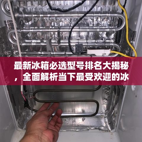 只爭朝夕 第3頁