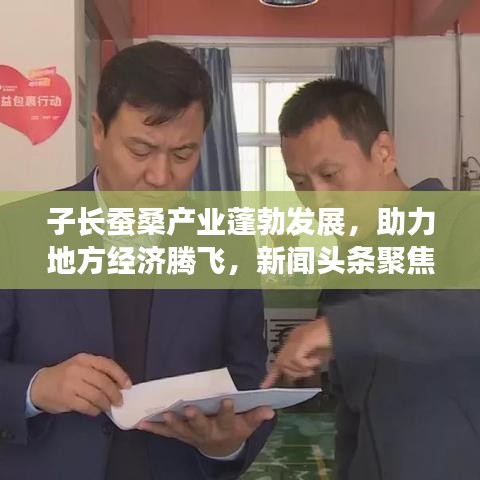 子長(zhǎng)蠶桑產(chǎn)業(yè)蓬勃發(fā)展，助力地方經(jīng)濟(jì)騰飛，新聞?lì)^條聚焦蠶桑產(chǎn)業(yè)新動(dòng)態(tài)