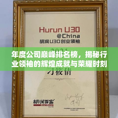 年度公司巔峰排名榜，揭秘行業(yè)領(lǐng)袖的輝煌成就與榮耀時(shí)刻