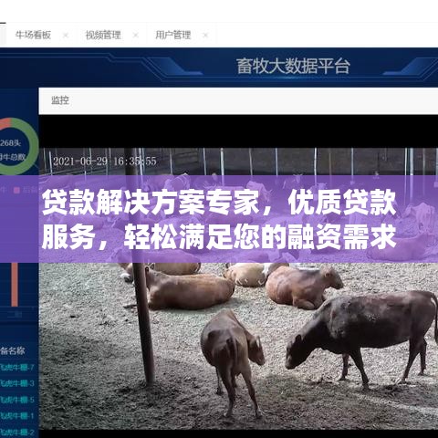 貸款解決方案專家，優(yōu)質(zhì)貸款服務(wù)，輕松滿足您的融資需求！