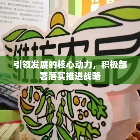 引領(lǐng)發(fā)展的核心動(dòng)力，積極部署落實(shí)推進(jìn)戰(zhàn)略