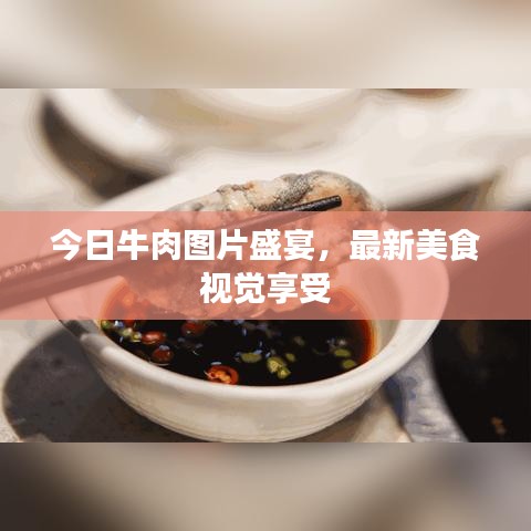 今日牛肉圖片盛宴，最新美食視覺(jué)享受