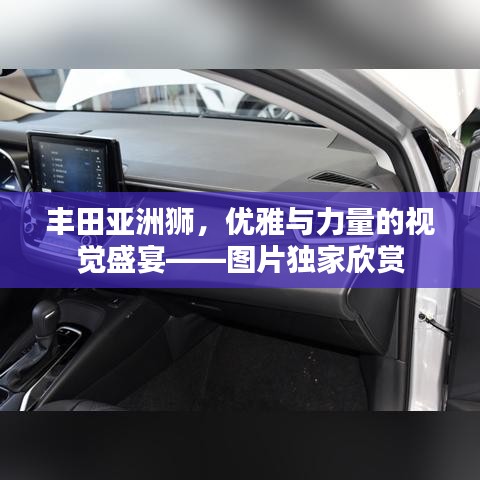 豐田亞洲獅，優(yōu)雅與力量的視覺盛宴——圖片獨家欣賞