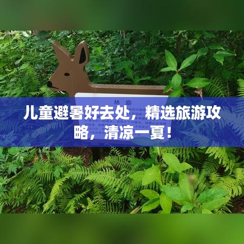 兒童避暑好去處，精選旅游攻略，清涼一夏！
