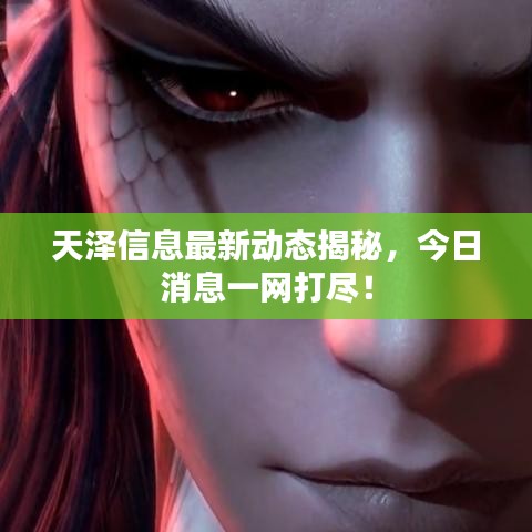 天澤信息最新動(dòng)態(tài)揭秘，今日消息一網(wǎng)打盡！