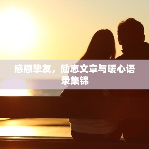 感恩摯友，勵(lì)志文章與暖心語錄集錦