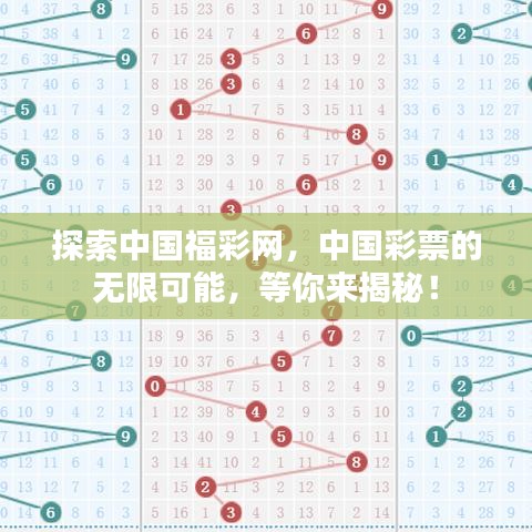 探索中國(guó)福彩網(wǎng)，中國(guó)彩票的無(wú)限可能，等你來(lái)揭秘！