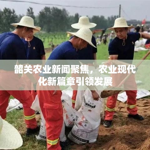 韶關(guān)農(nóng)業(yè)新聞聚焦，農(nóng)業(yè)現(xiàn)代化新篇章引領(lǐng)發(fā)展