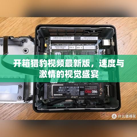 開箱獵豹視頻最新版，速度與激情的視覺盛宴