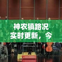 神農(nóng)鎮(zhèn)路況實時更新，今日路況最新消息匯總