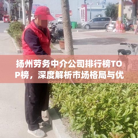 揚(yáng)州勞務(wù)中介公司排行榜TOP榜，深度解析市場(chǎng)格局與優(yōu)質(zhì)服務(wù)商！