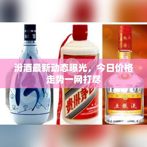 汾酒最新動態(tài)曝光，今日價格走勢一網(wǎng)打盡