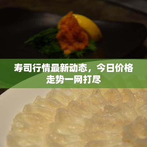壽司行情最新動(dòng)態(tài)，今日價(jià)格走勢(shì)一網(wǎng)打盡