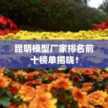 昆明模型廠家排名前十榜單揭曉！