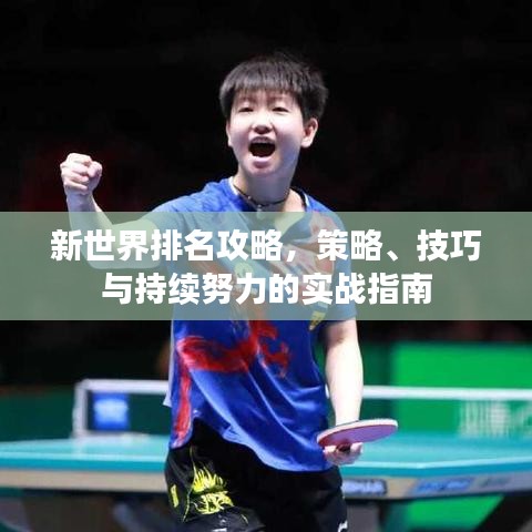 新世界排名攻略，策略、技巧與持續(xù)努力的實(shí)戰(zhàn)指南